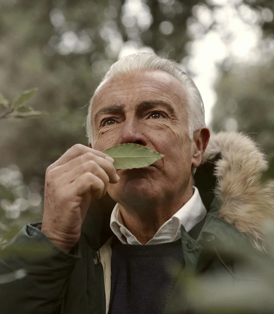 Homme âgé en pleine nature examinant l’odeur d’une feuille pour en percevoir les arômes image recadrée